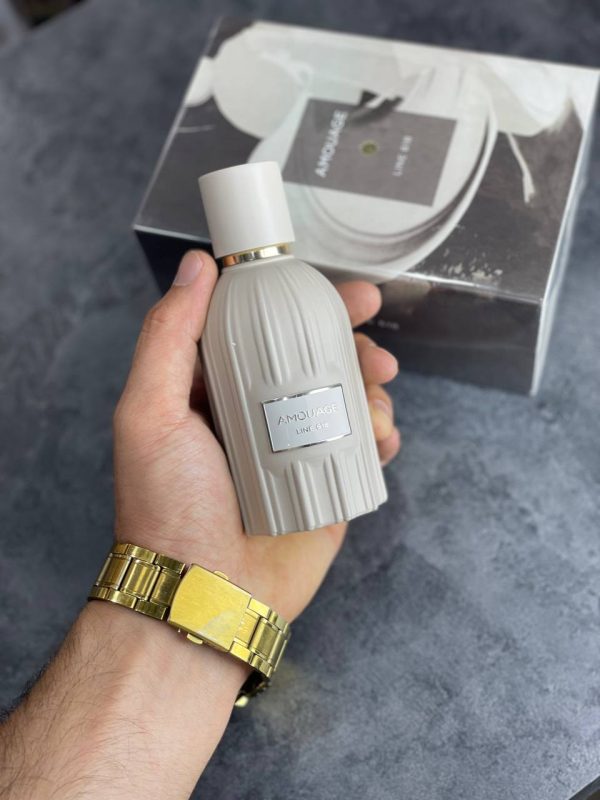 عطر ادکلن هاردباکس آمواج لاین 618 | AMOUAGE LINE 618 حجم 100 میل - تصویر 3